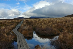 Tongariro National Park - 33