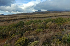 Tongariro National Park - 35