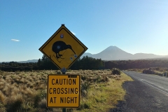Tongariro National Park - 51 - Caution Kiwi crossing