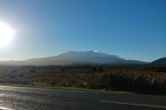 Tongariro National Park - 52 - Mt Ruapehu