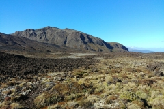 Tongariro National Park - 60 - Mordor