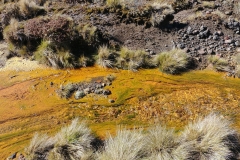 Tongariro National Park - 76