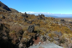 Tongariro National Park - 98