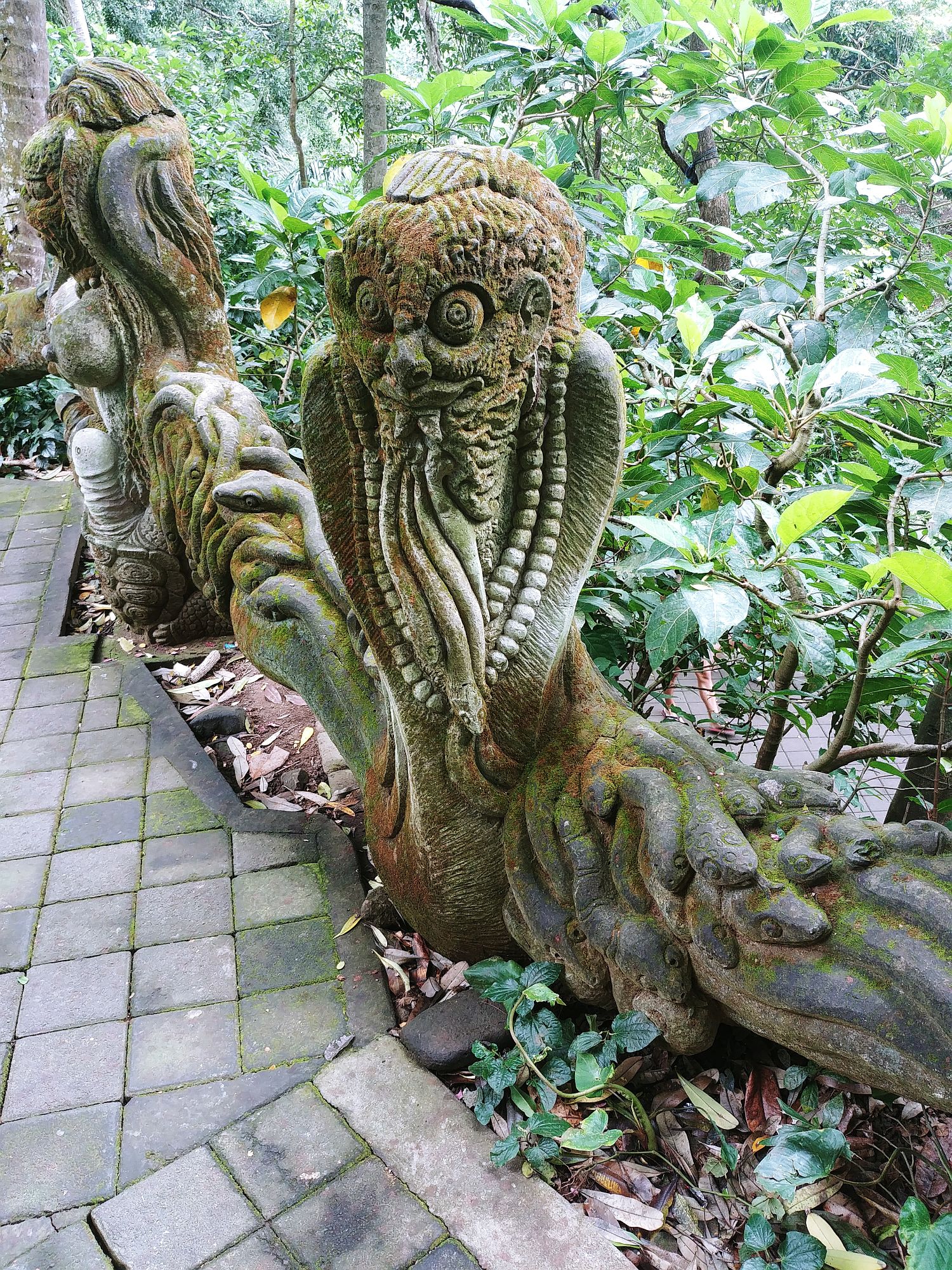 Ubud - Monkey Forest - Snake tongues