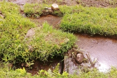 Ubud - Irrigation system