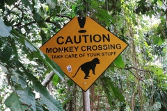 Ubud - Monkey Forest - Crossing sign