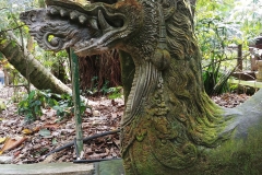 Ubud - Monkey Forest - Dragon head 2