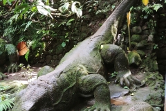 Ubud - Monkey Forest - Komodo statue