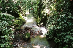 Ubud - Monkey Forest - River - Downstream
