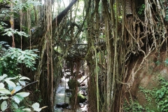 Ubud - Monkey Forest - River - Upstream