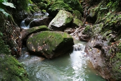 Ubud - Monkey Forest - River - Waterfall