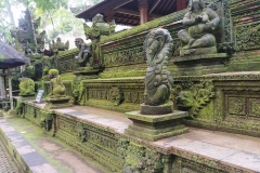 Ubud - Monkey Forest - Temple steps