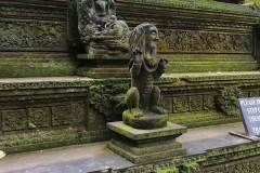 Ubud - Monkey Forest - Temple