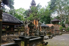 Ubud - Monkey Forest - Temple2