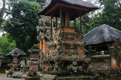 Ubud - Monkey Forest - Temple3