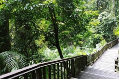 Ubud - Monkey Forest - Walkway