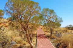 Camping site - walkway to viewpoint