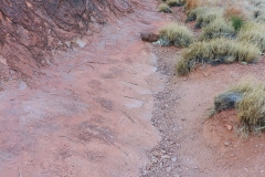 Uluru - Base of the slope