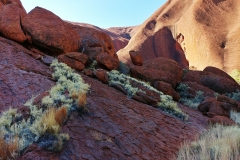 Uluru - Fur-lined rocks