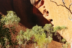 Uluru - Kuniya makes imma