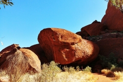 Uluru - Kuniya resting in python form2