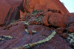 Uluru - Slashed rock