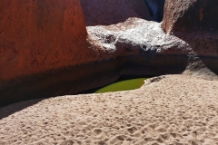 Uluru - Water hole