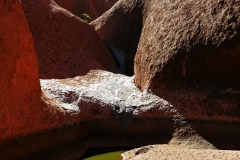 Uluru - Water hole2