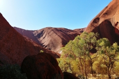 Uluru - Waterhole fisheye