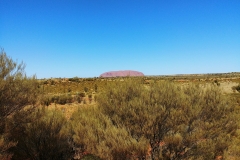 Uluru - first glimpse