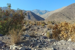 Vicuna hike - 10