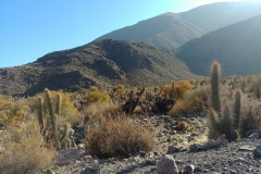 Vicuna hike - 32