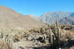 Vicuna hike - 33