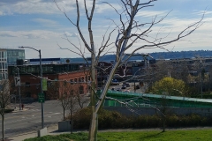 Seattle - 15 - Olympic Sculpture Park