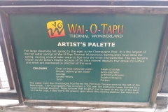 Wai-O-Tapu - 32