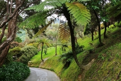 Wellington - Botanic Garden - 01