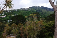 Wellington - Botanic Garden - 07