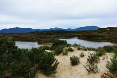 Wilsons Promontory National Park - Cotters Lake Walk 07