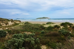 Wilsons Promontory National Park - Cotters Lake Walk 24