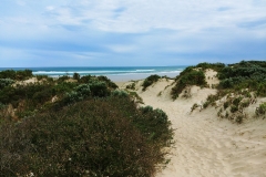 Wilsons Promontory National Park - Cotters Lake Walk 25