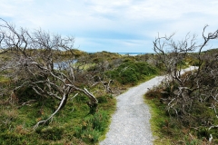 Wilsons Promontory National Park - Cotters Lake Walk 27
