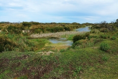 Wilsons Promontory National Park - Cotters Lake Walk 29