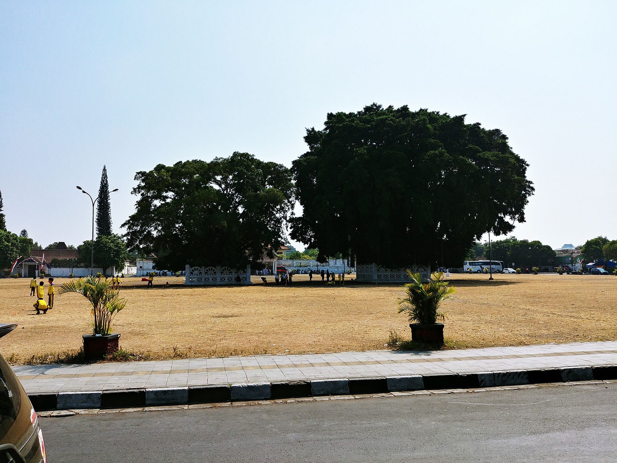 Yogyakarta - Holy banyan trees