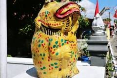 Yogyakarta - Golden frog