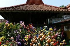 Yogyakarta - House with flowers