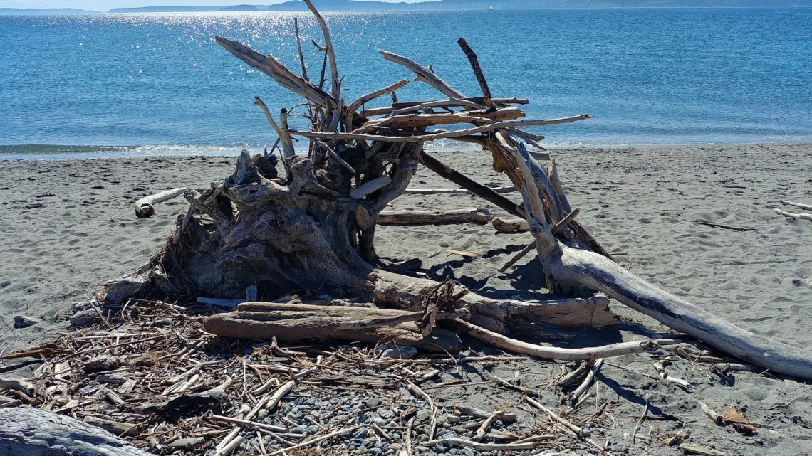 Sunday at the beach