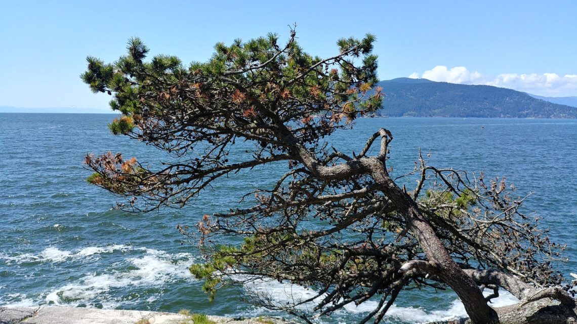 Lighthouse Park