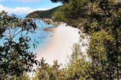 Abel Tasman National Park - 66 - Tonga Quarry