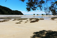 Abel Tasman National Park - 23