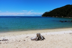 Abel Tasman National Park - 26